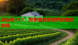 汤头条11.1：探索美食新境界的奇妙旅程