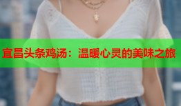 宜昌头条鸡汤：温暖心灵的美味之旅