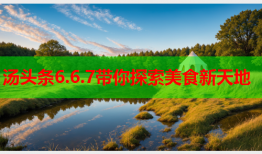 汤头条6.6.7带你探索美食新天地