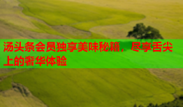 汤头条会员独享美味秘籍，尽享舌尖上的奢华体验