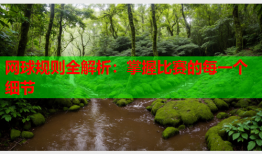 网球规则全解析：掌握比赛的每一个细节