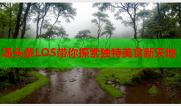 汤头条LOS带你探索独特美食新天地