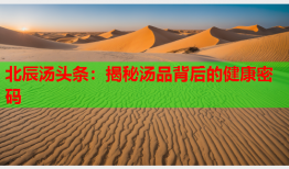 北辰汤头条：揭秘汤品背后的健康密码