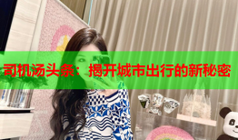 司机汤头条：揭开城市出行的新秘密