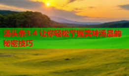 汤头条3.4 让你轻松掌握美味汤品的秘密技巧