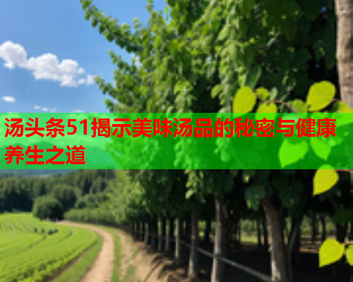 汤头条51揭示美味汤品的秘密与健康养生之道