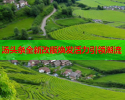 汤头条全新改版焕发活力引领潮流