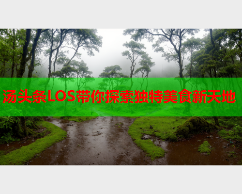 汤头条LOS带你探索独特美食新天地