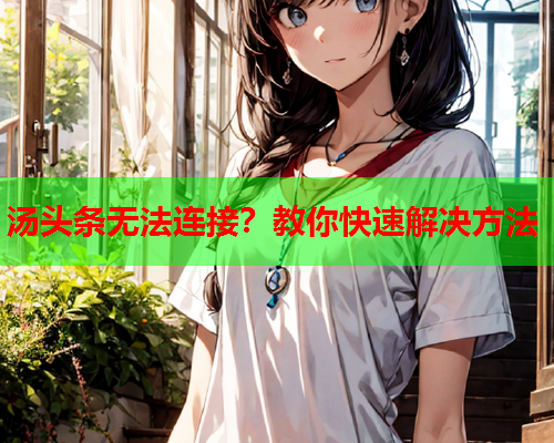 汤头条无法连接？教你快速解决方法