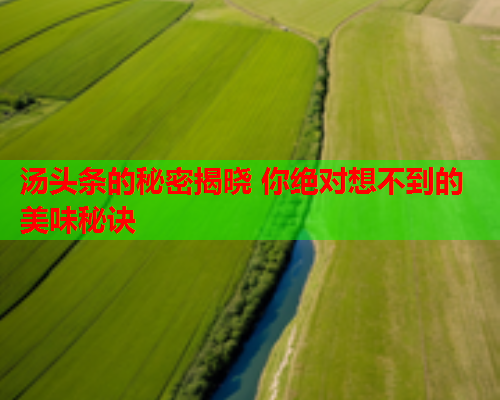 汤头条的秘密揭晓 你绝对想不到的美味秘诀