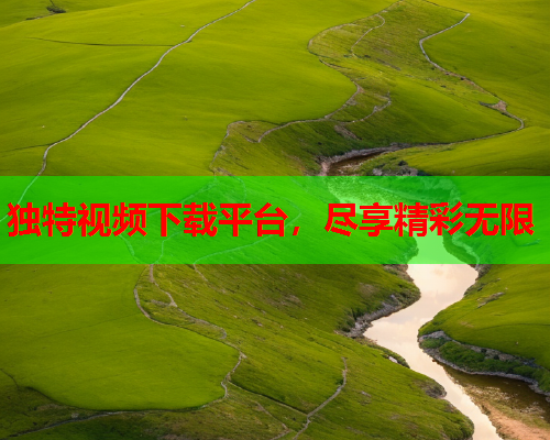 独特视频下载平台，尽享精彩无限