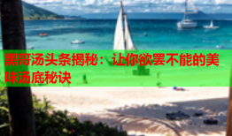 黑哥汤头条揭秘：让你欲罢不能的美味汤底秘诀