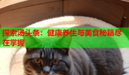 探索汤头条：健康养生与美食秘籍尽在掌握