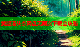 黄版汤头条网盘无限次下载全攻略