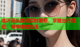 临沂汤头路况实时更新，掌握出行信息，畅享便捷生活