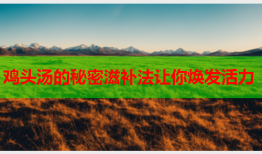 鸡头汤的秘密滋补法让你焕发活力