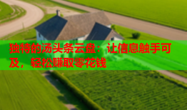 独特的汤头条云盘：让信息触手可及，轻松赚取零花钱