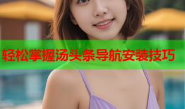 轻松掌握汤头条导航安装技巧