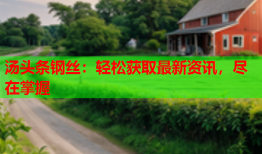 汤头条钢丝：轻松获取最新资讯，尽在掌握