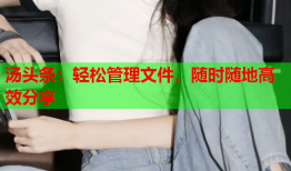 汤头条：轻松管理文件，随时随地高效分享
