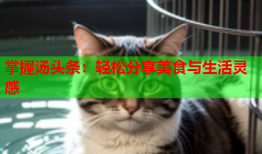 掌握汤头条：轻松分享美食与生活灵感
