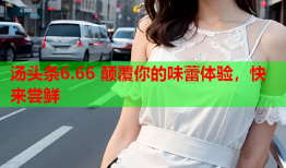汤头条6.66 颠覆你的味蕾体验，快来尝鲜
