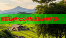 黑哥破解论坛揭秘汤头条新玩法(1)