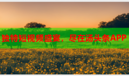 独特短视频盛宴，尽在汤头条APP