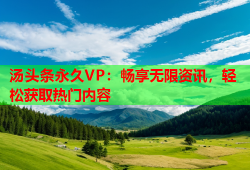 汤头条永久VP：畅享无限资讯，轻松获取热门内容