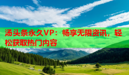 汤头条永久VP：畅享无限资讯，轻松获取热门内容