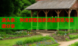汤头条：快速获取最新汤品资讯与食谱分享