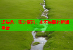 汤头条：实时资讯，永不失联的新闻平台