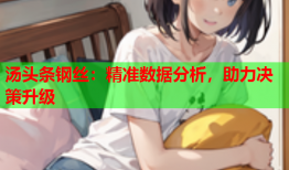 汤头条钢丝：精准数据分析，助力决策升级