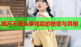 揭开不汤头条背后的秘密与真相