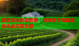 探索汤头条破解版：畅享美食与健康资讯的无限乐趣