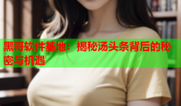 黑哥软件基地：揭秘汤头条背后的秘密与机遇