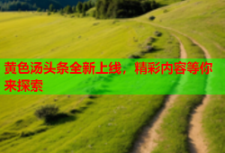 黄色汤头条全新上线，精彩内容等你来探索