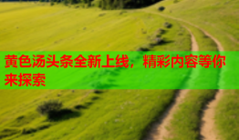 黄色汤头条全新上线，精彩内容等你来探索
