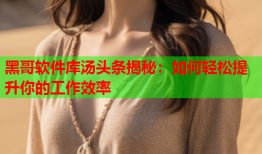黑哥软件库汤头条揭秘：如何轻松提升你的工作效率