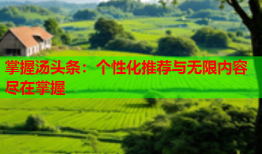 掌握汤头条：个性化推荐与无限内容尽在掌握