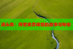 汤头条：探索美食背后的故事与秘密
