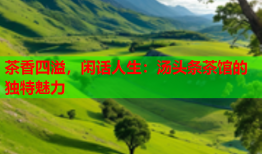茶香四溢，闲话人生：汤头条茶馆的独特魅力