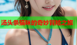 汤头条猫咪的奇妙冒险之旅