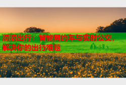 滴滴出行：智能网约车与实时公交，解决你的出行难题