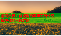 滴滴出行：智能网约车与实时公交，解决你的出行难题
