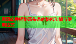 黑哥软件揭秘汤头条的秘密功能与使用技巧