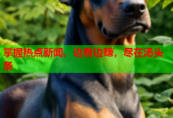 掌握热点新闻，边看边赚，尽在汤头条