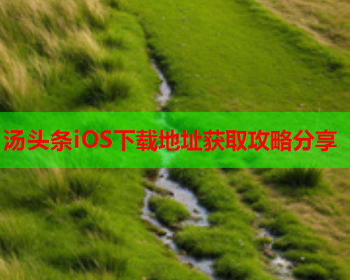 汤头条iOS下载地址获取攻略分享