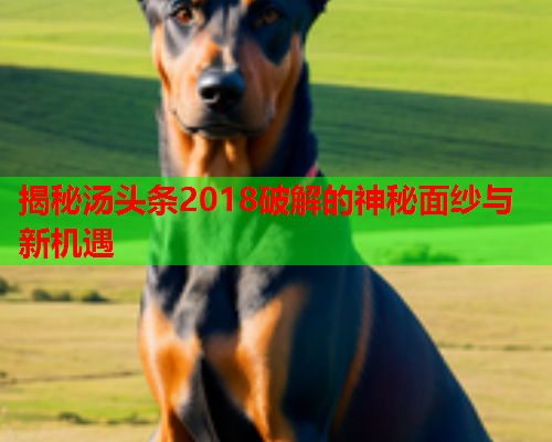 揭秘汤头条2018破解的神秘面纱与新机遇