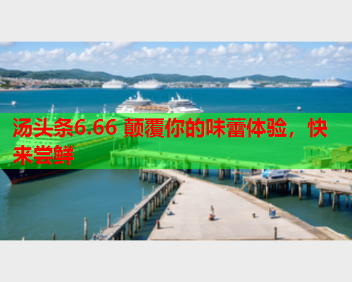 汤头条6.66 颠覆你的味蕾体验，快来尝鲜